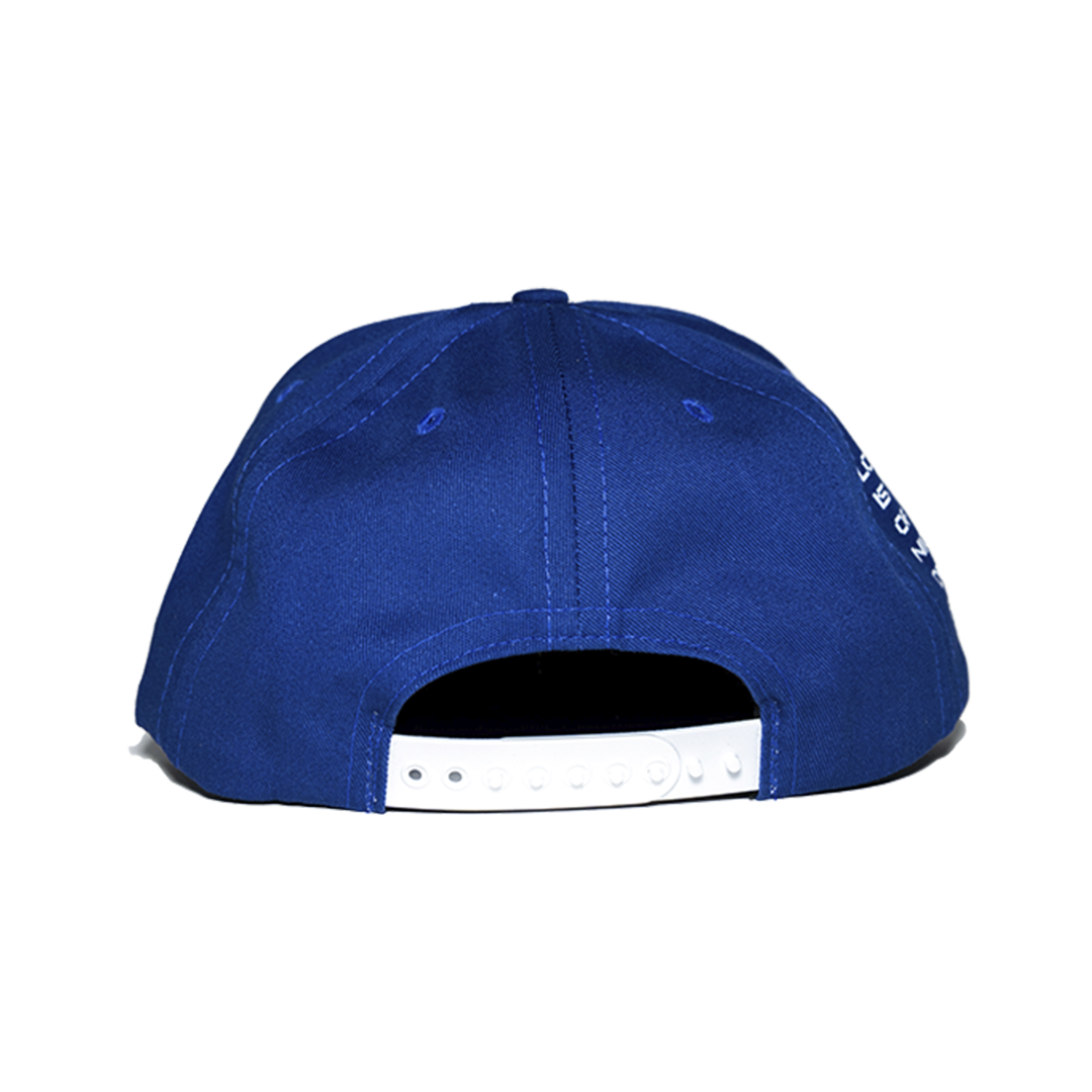 VR Ddger Blue
